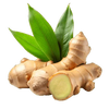 Bergamot