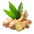 Bergamot