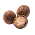 Tolu Balsam